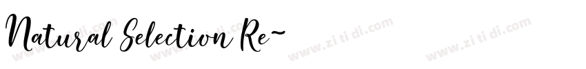 Natural Selection Re字体转换